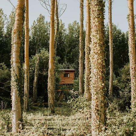 Bonita Cabana De Los Arboles En La Rioja , Durmiendo Entre Arboles Anguciana Luaran gambar