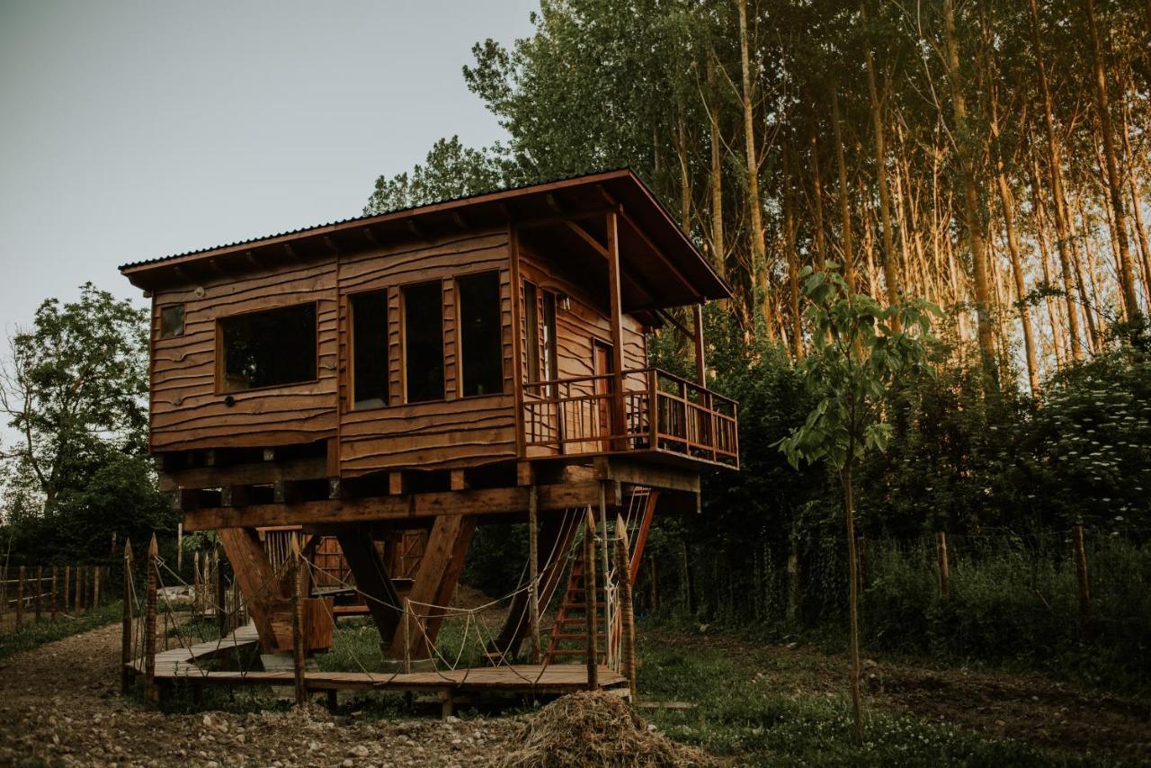 Bonita Cabana De Los Arboles En La Rioja , Durmiendo Entre Arboles Anguciana Luaran gambar