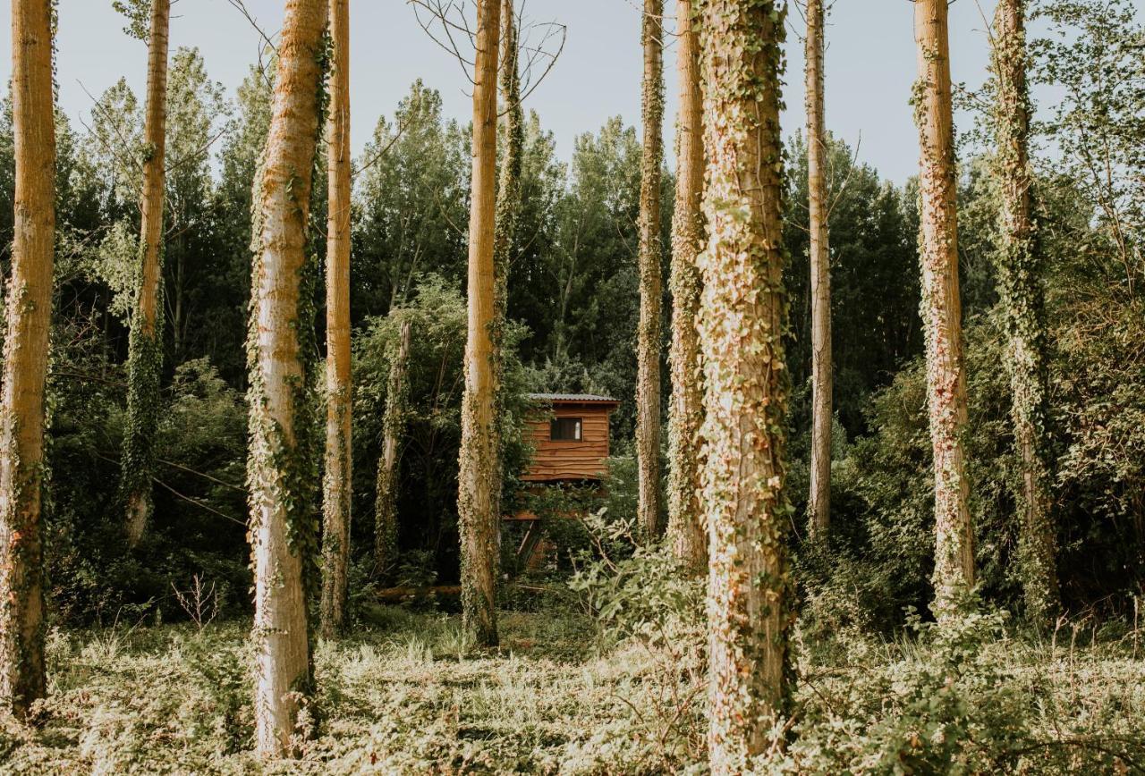 Bonita Cabana De Los Arboles En La Rioja , Durmiendo Entre Arboles Anguciana Luaran gambar