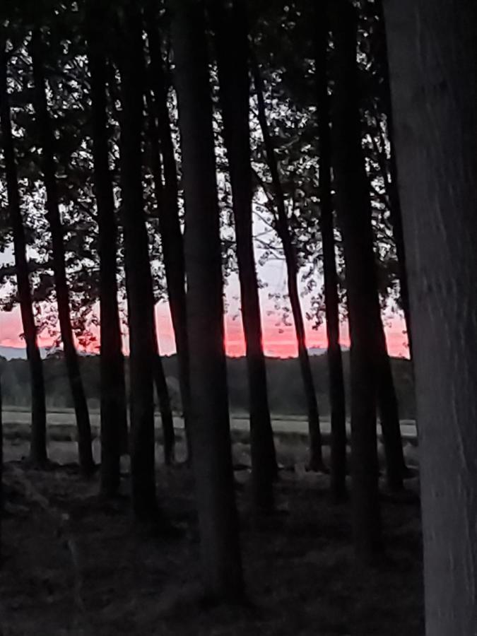 Bonita Cabana De Los Arboles En La Rioja , Durmiendo Entre Arboles Anguciana Luaran gambar